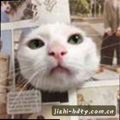刘洋